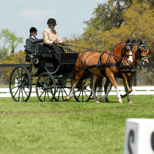 Pairs Presentation Carriage in USA